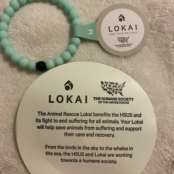 Animal Rescue Lokai - Picture 4 of 10